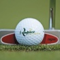 Vitální golf